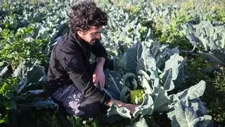 El número de jóvenes ocupados en el sector agrario baja un 11% entre 2009 y 2021