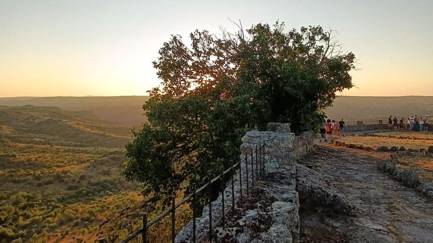 Los paisajes históricos del viñedo, a debate en Fermoselle