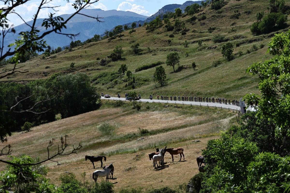 Pogacar gana su primera etapa de esta edición del Tour de Francia con un magnífico sprint en Les Angles Pogacar gana su primera etapa de esta edición del Tour de Francia con un magnífico sprint en Les Angles