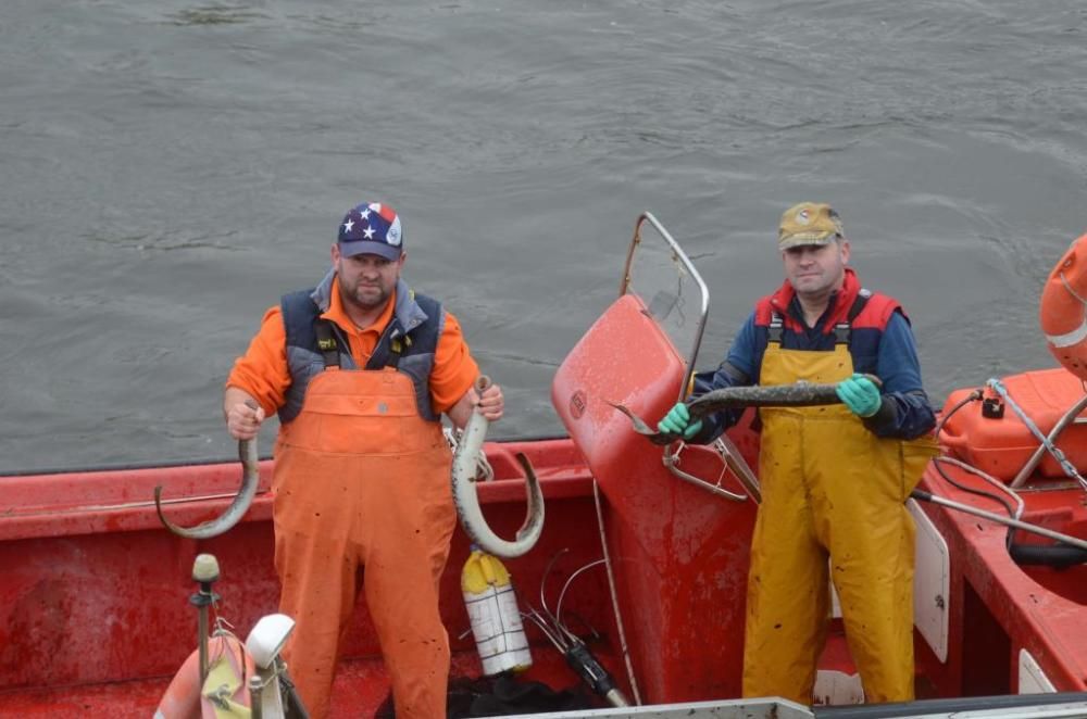 Pesca de lamprea en el río Ulla