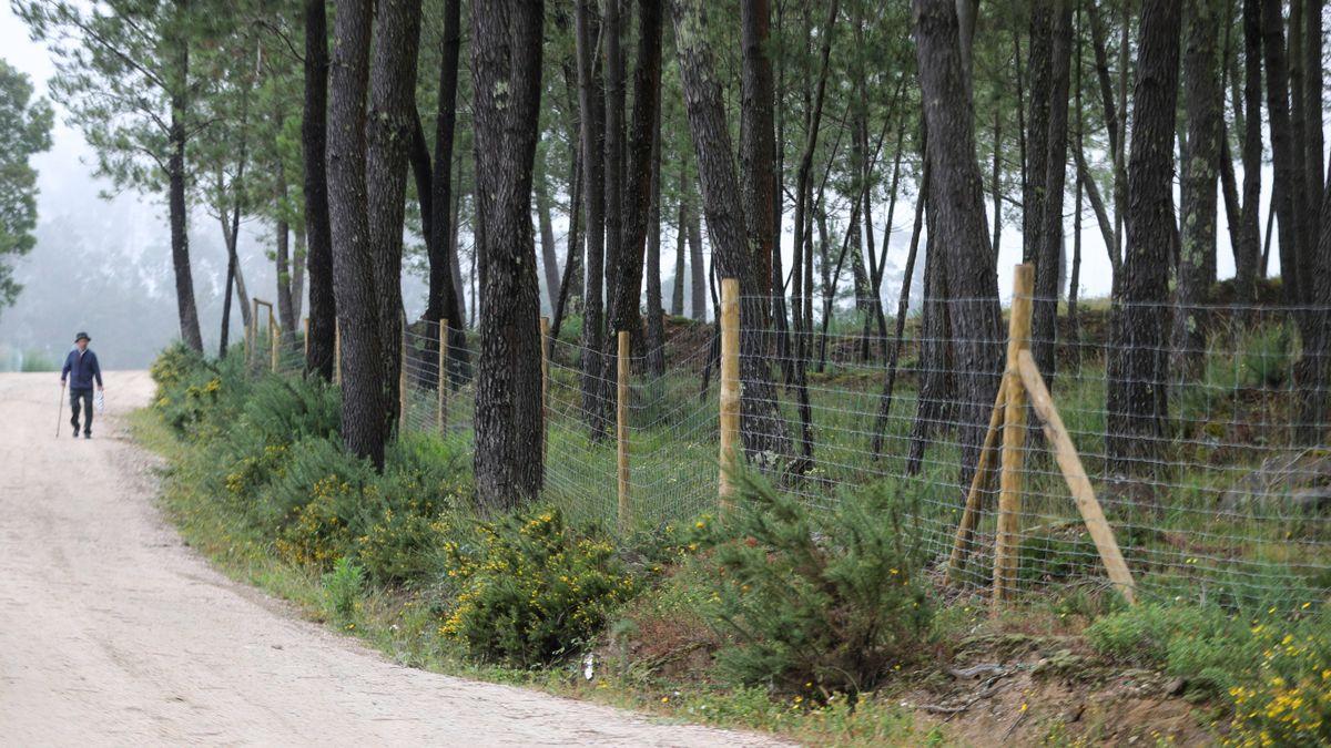 Cierres colocados por la consellería de Medio Rural para crear un escudo verde que permita combatir los incendios.