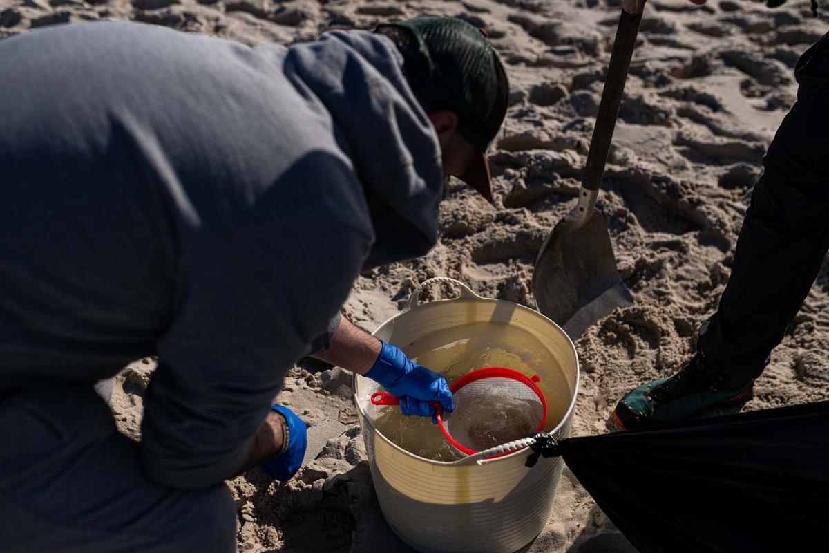 Contaminación marina por el vertido de pellets en la costa gallega