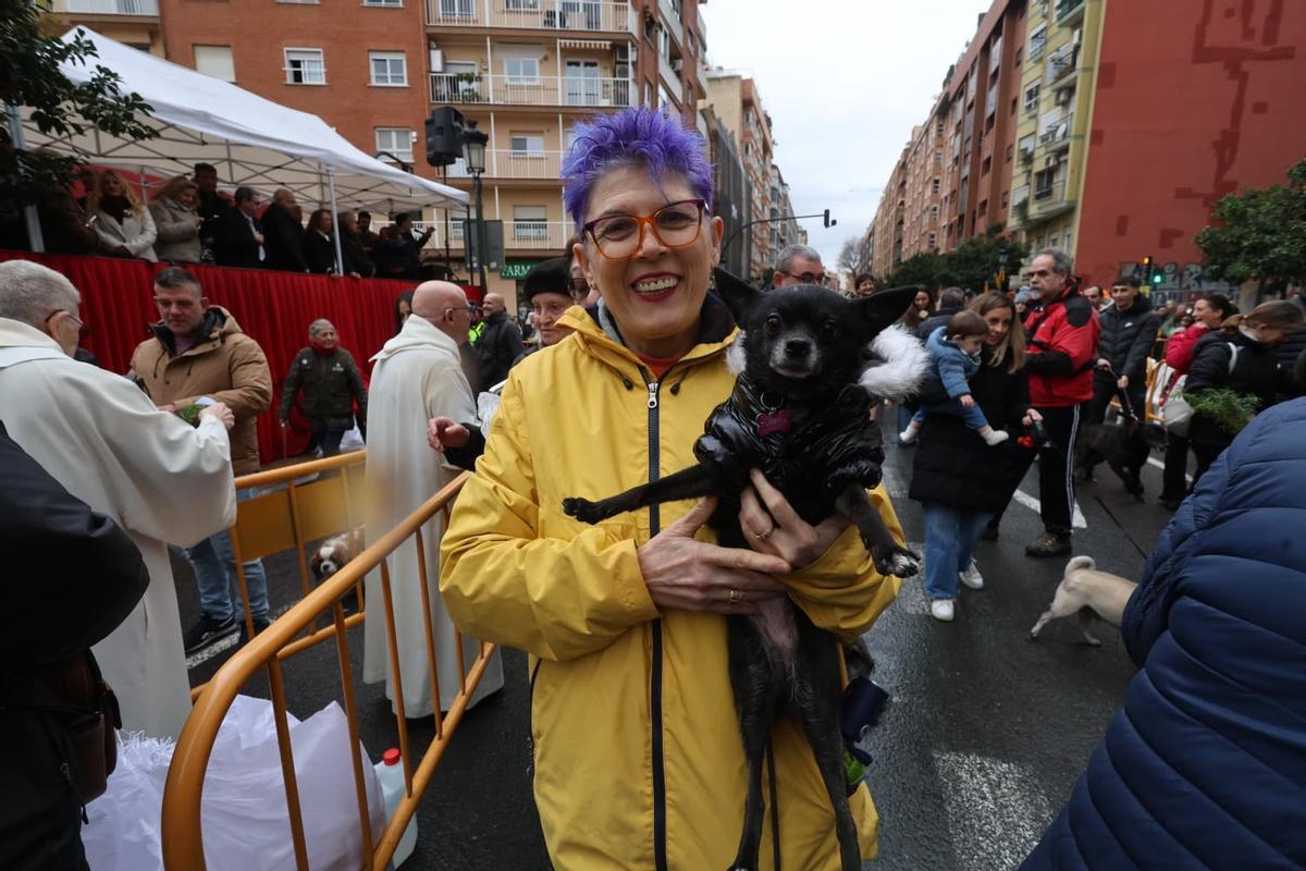Bendición de animales por Sant Antoni en la calle Sagunt de València
