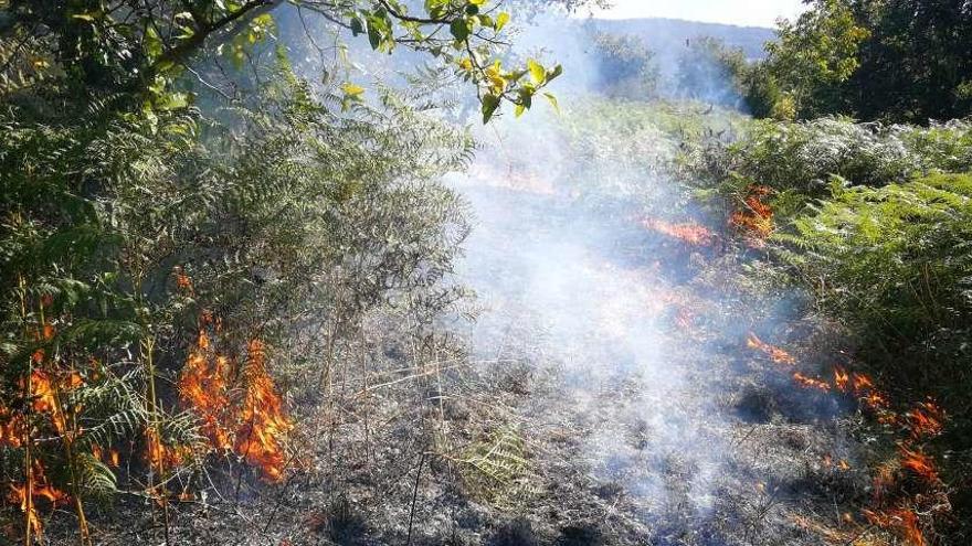 Las llamas en una zona de helechos antes de la extinción del incendio. // Gonzalo Núñez