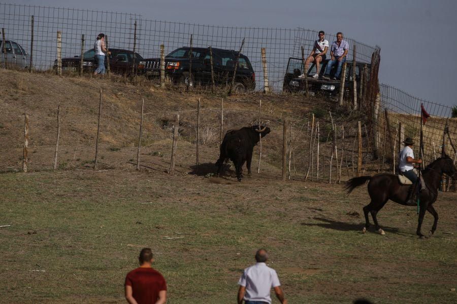 Espantes en Fuentelapeña