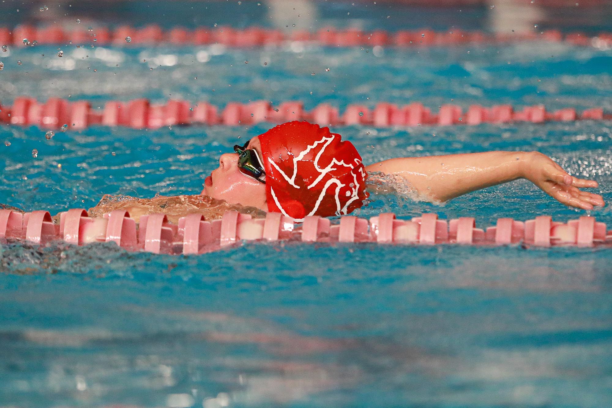 Trofeo Portus de Natación