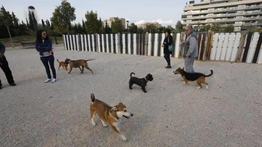 Propietarios con sus mascotas en un recinto habilitado para el disfrute de estos animales en el barrio de Altabix.