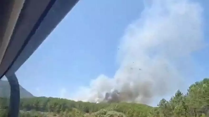 Vídeo | Los medios desplazándose hasta el incendio de Pinofranqueado