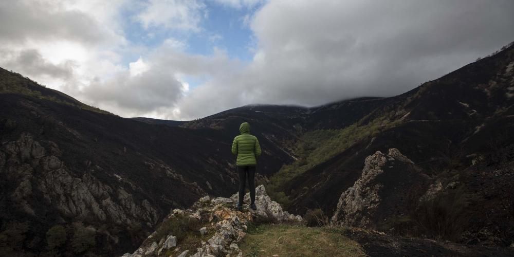 Desolación en el suroccidente asturiano tras los incendios