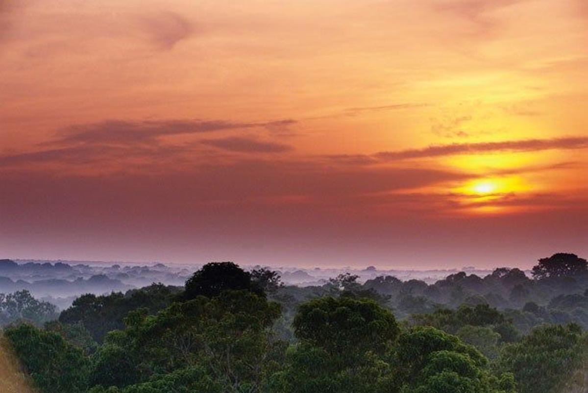 Amanecer sobre el Amazonas.