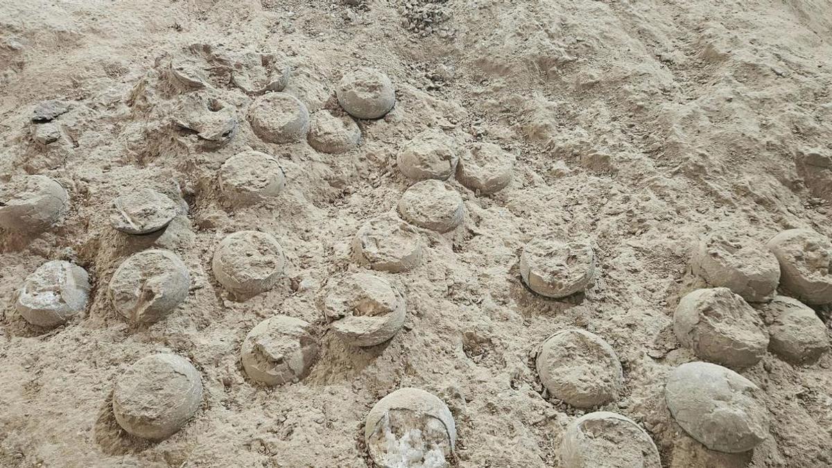 Fòssils d'ous de dinosaure cristal·litzats descoberts a Shiyan
