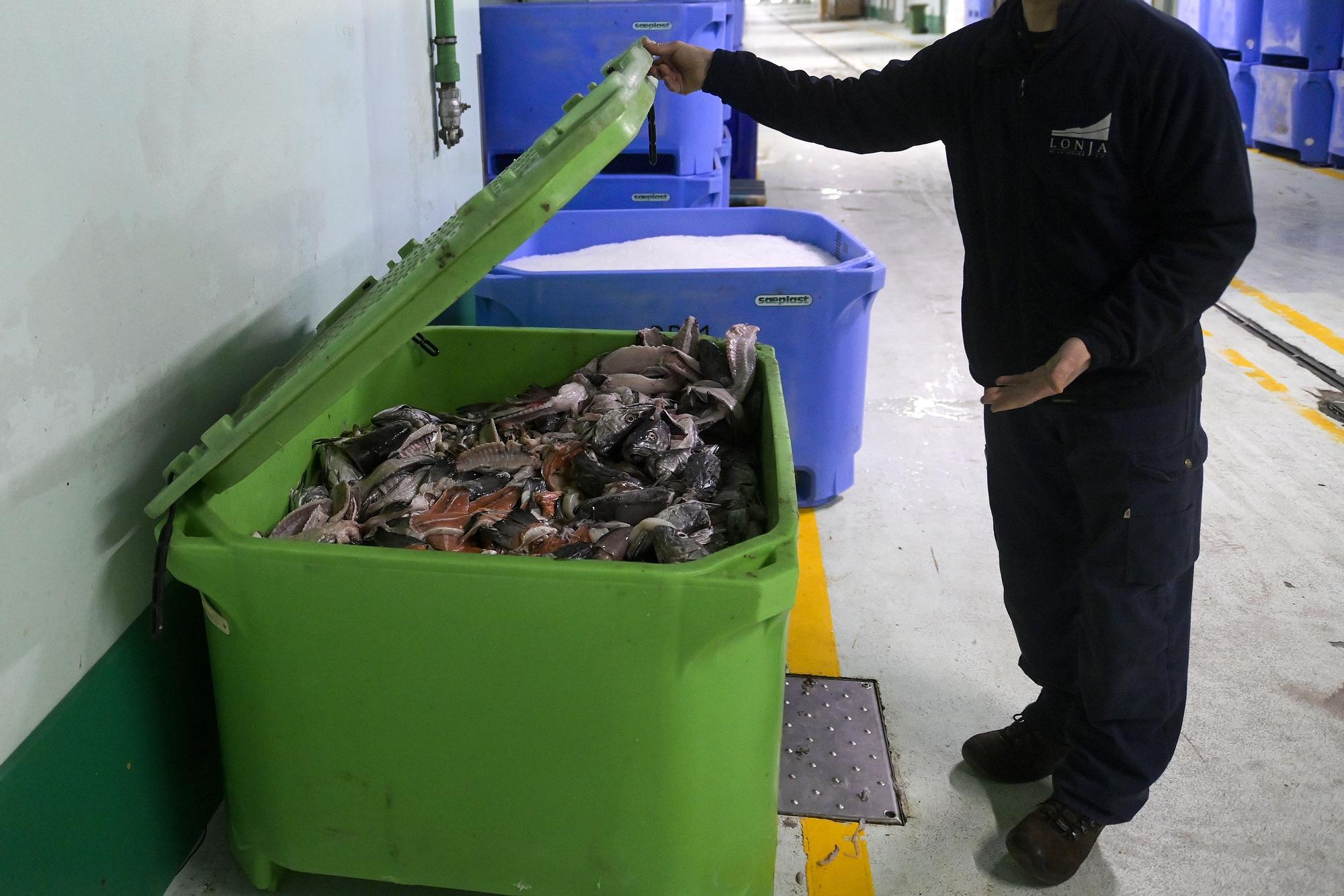 Hasta 40 toneladas de pescado se podrían perder en la lonja de A Coruña por la huelga