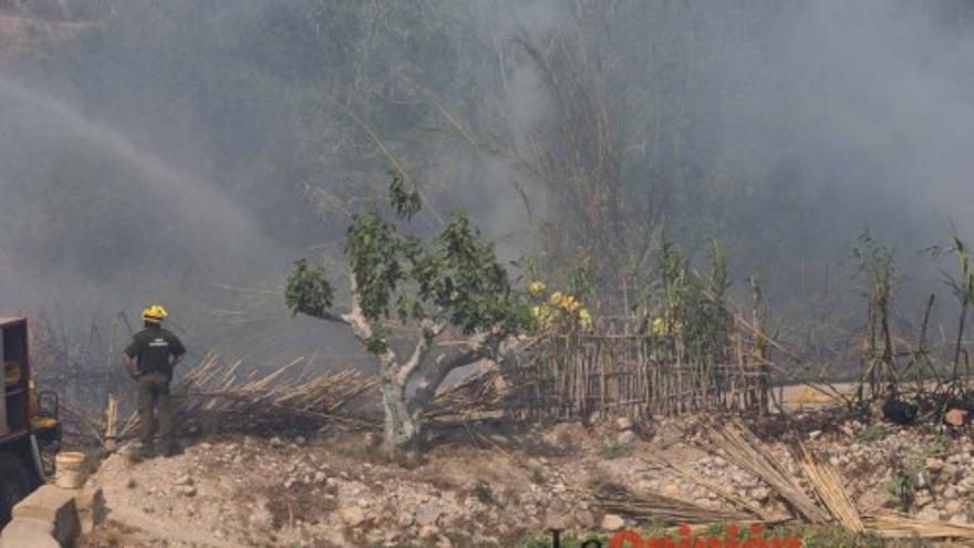 Incendio en la ribera del Río Argos en Cehegín