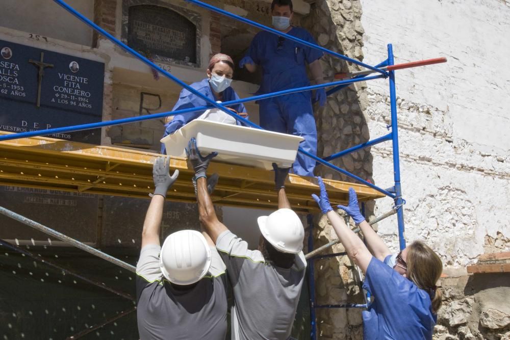 Exhumación fusilados de la guerra civil en el cementerio de Ontinyent