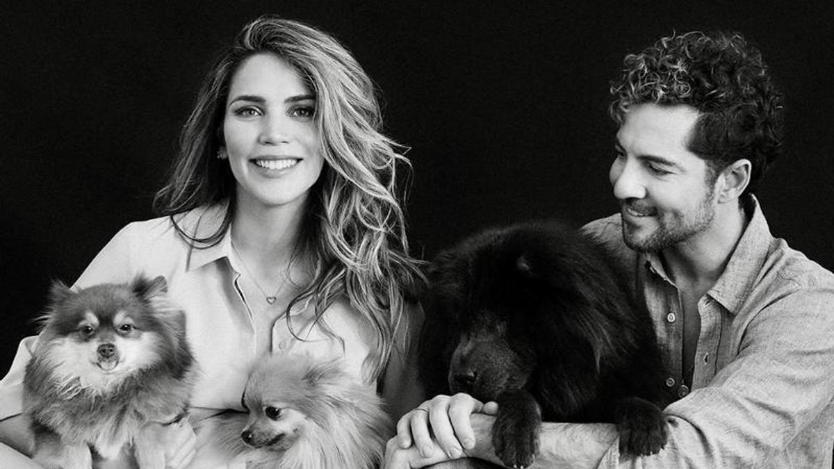 David Bisbal y Rosanna Zanetti tienen una familia perruna de lo más preciosa