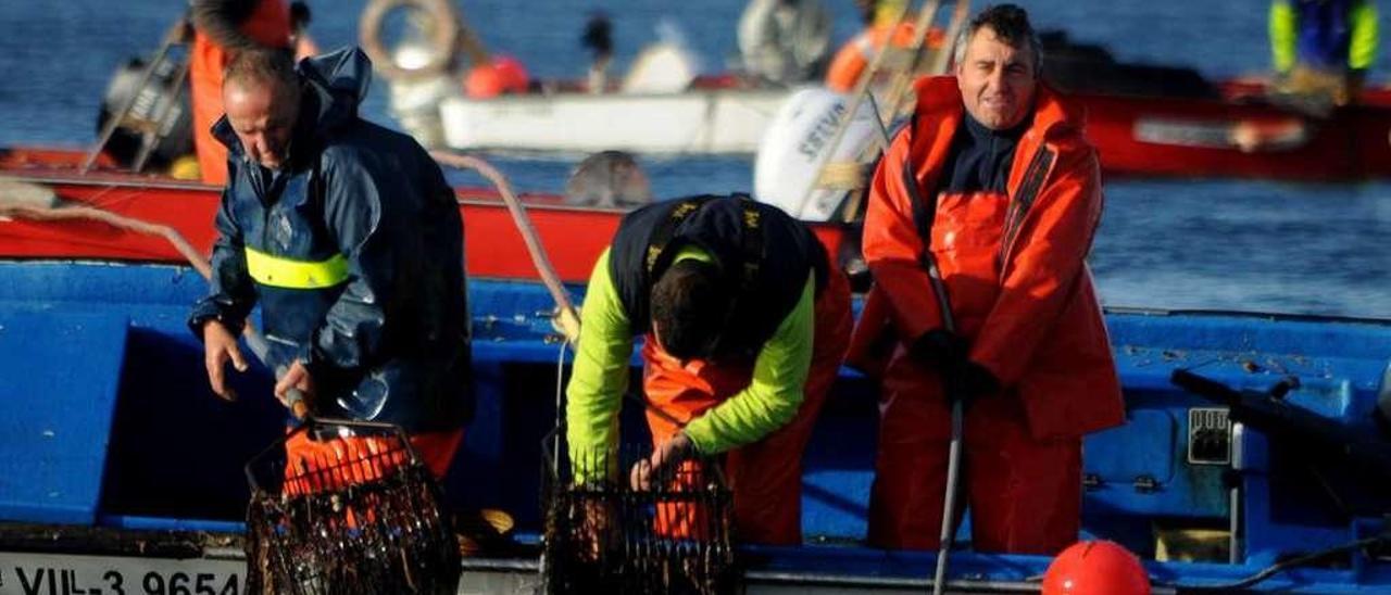 Mariscadores a flote en la ría de Arousa.  // Iñaki Abella