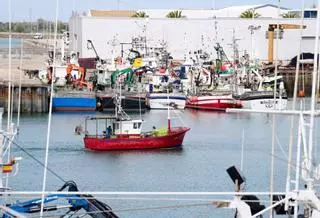 El Ejecutivo trabaja para que la UE incluya a la pesca en el PERTE agroalimentario