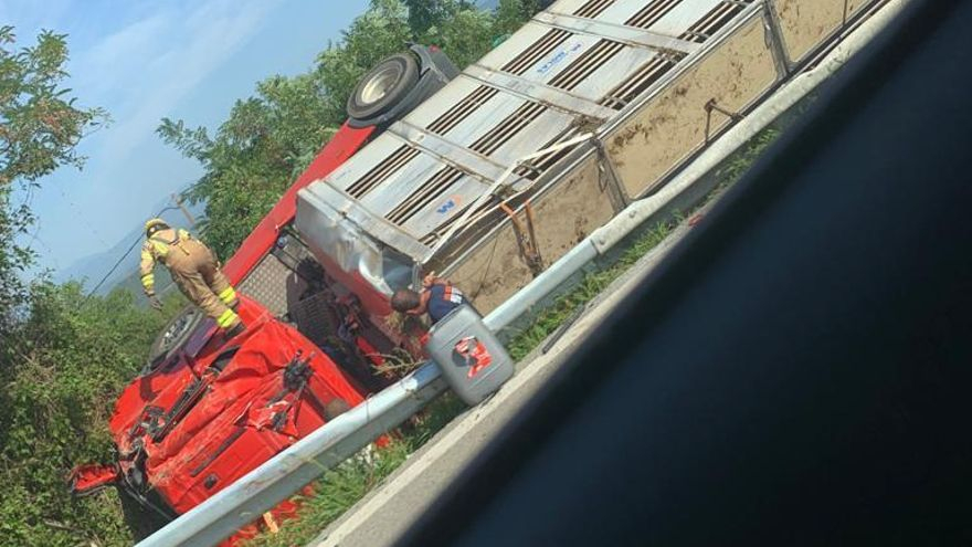 Un camió que transportava porcs bolca a Moià