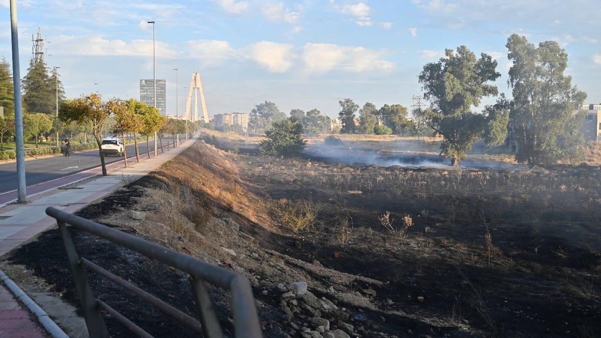 El incendio junto al puente Real de Badaoz, cortado al tráfico, el 18 de agosto del año pasado.