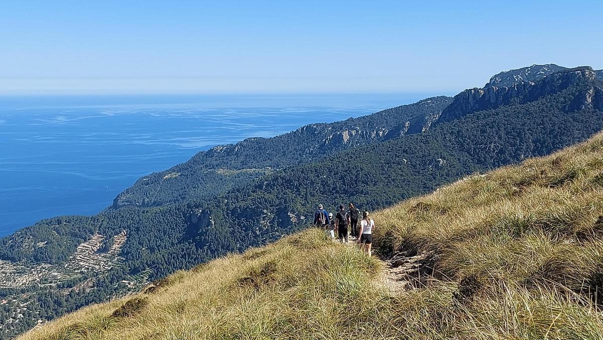 Gemütlicher Abschnitt auf dem Weg vom Gipfel zum Verbindungsweg Puigpunyent – Nordküste.