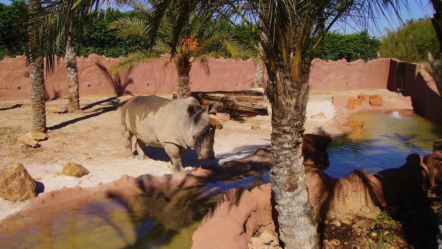 Los animales de Terra Natura