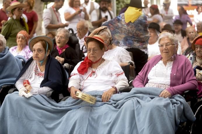 DIA DEL PINO EN EL CENTRO SOCIOSANITARIO DE EL ...