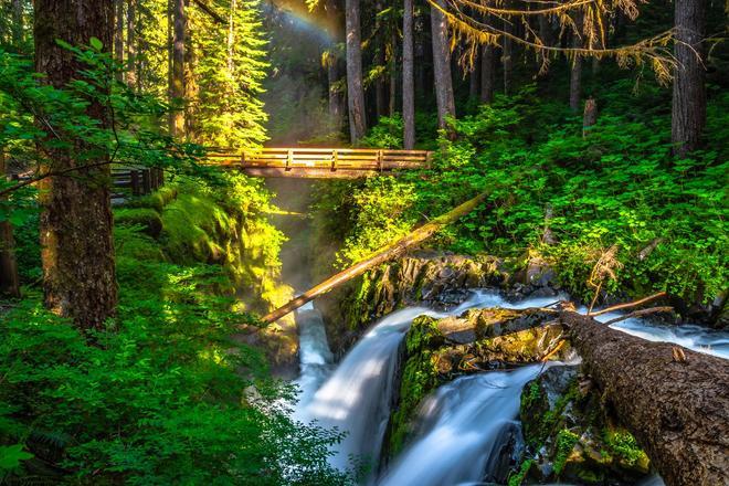 Olympic National Park, destinos silenciosos