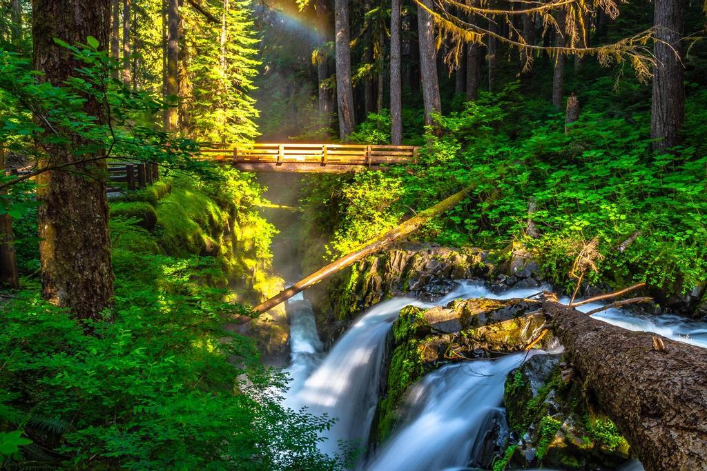 Olympic National Park, Washington, Estados Unidos