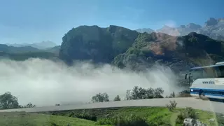 Ciudadanos Parres propone transporte gratuito a los Lagos de Covadonga para los asturianos