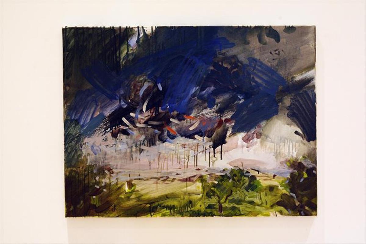 Doce artistas lanzan su mirada crítica sobre el paisaje actual