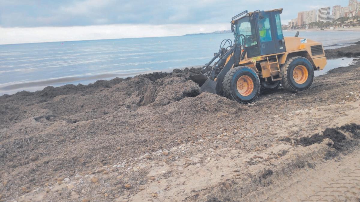 Las máquinas han trabajado prácticamente sin descanso durante meses. | INFORMACIÓN