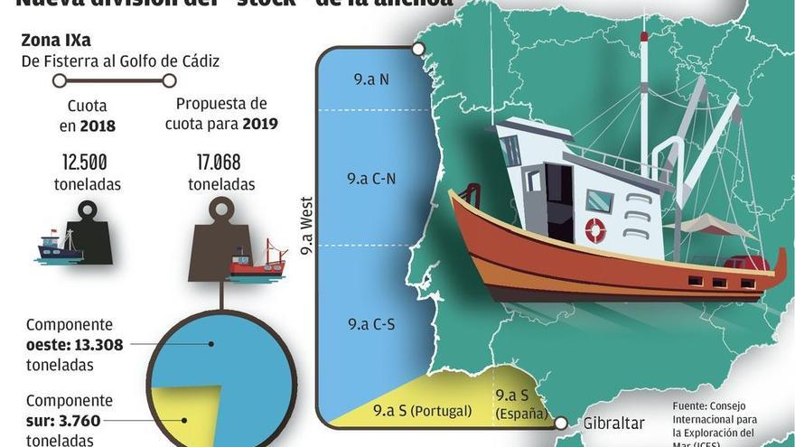 Científicos recomiendan separar la cuota de anchoa gallega y andaluza por primera vez