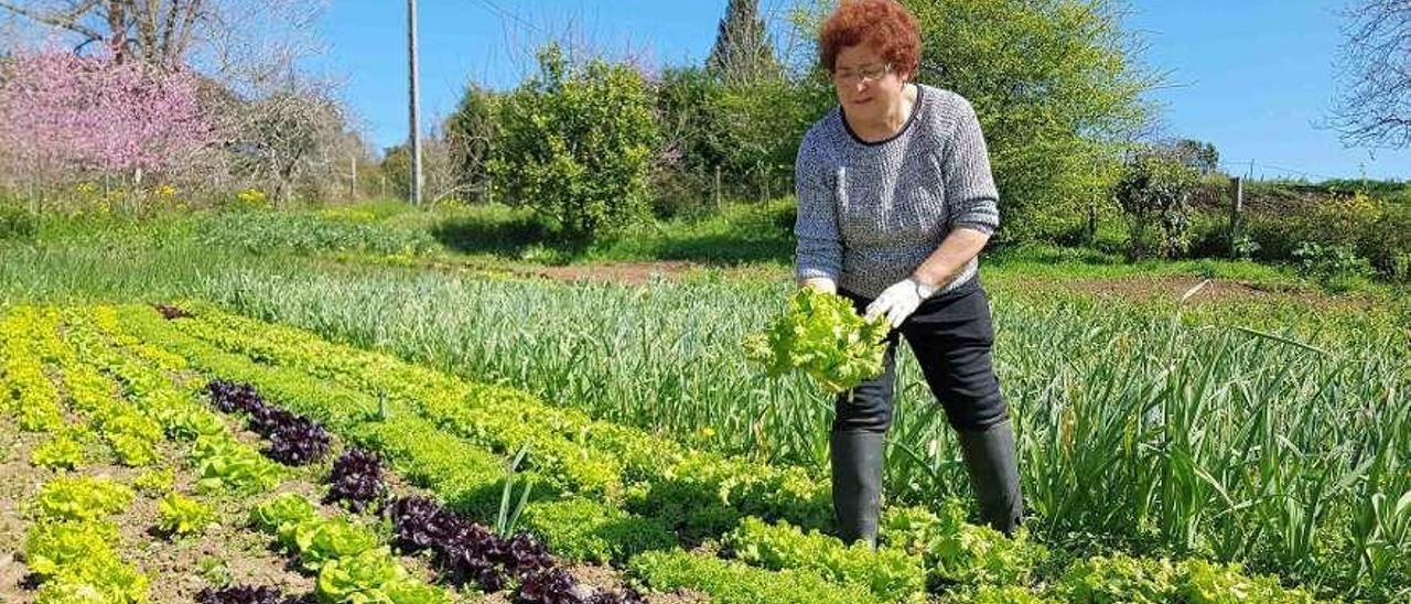 Luisa Fernández, en su huerta de Bedriñana.