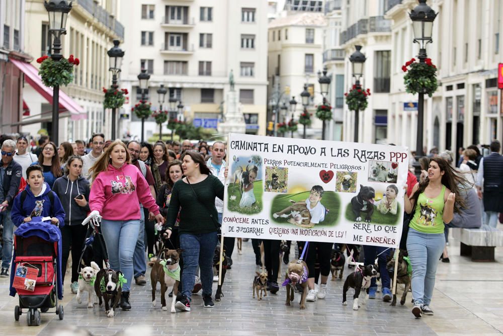 La marcha en apoyo de los perros potencialmente peligrosos transcurrió entre la plaza de la Constitución y la plaza de la Marina.