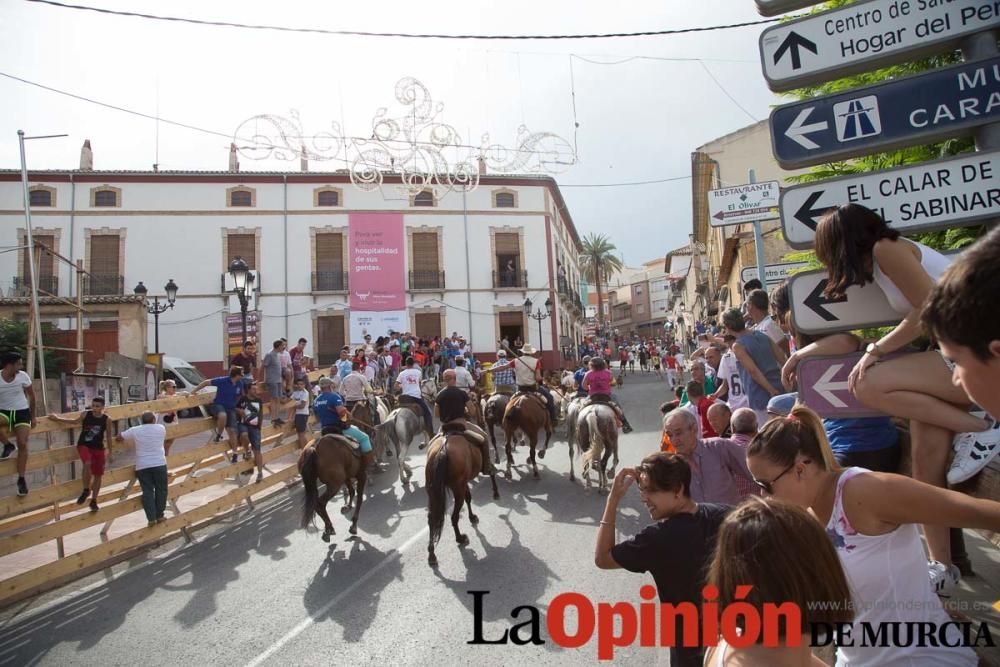 Séptimo encierro en Moratalla