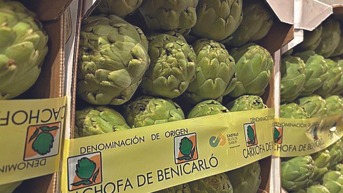Benicarló es conocida por su producto turístico por excelencia: la alcachofa, con denominación de origen desde 1998.