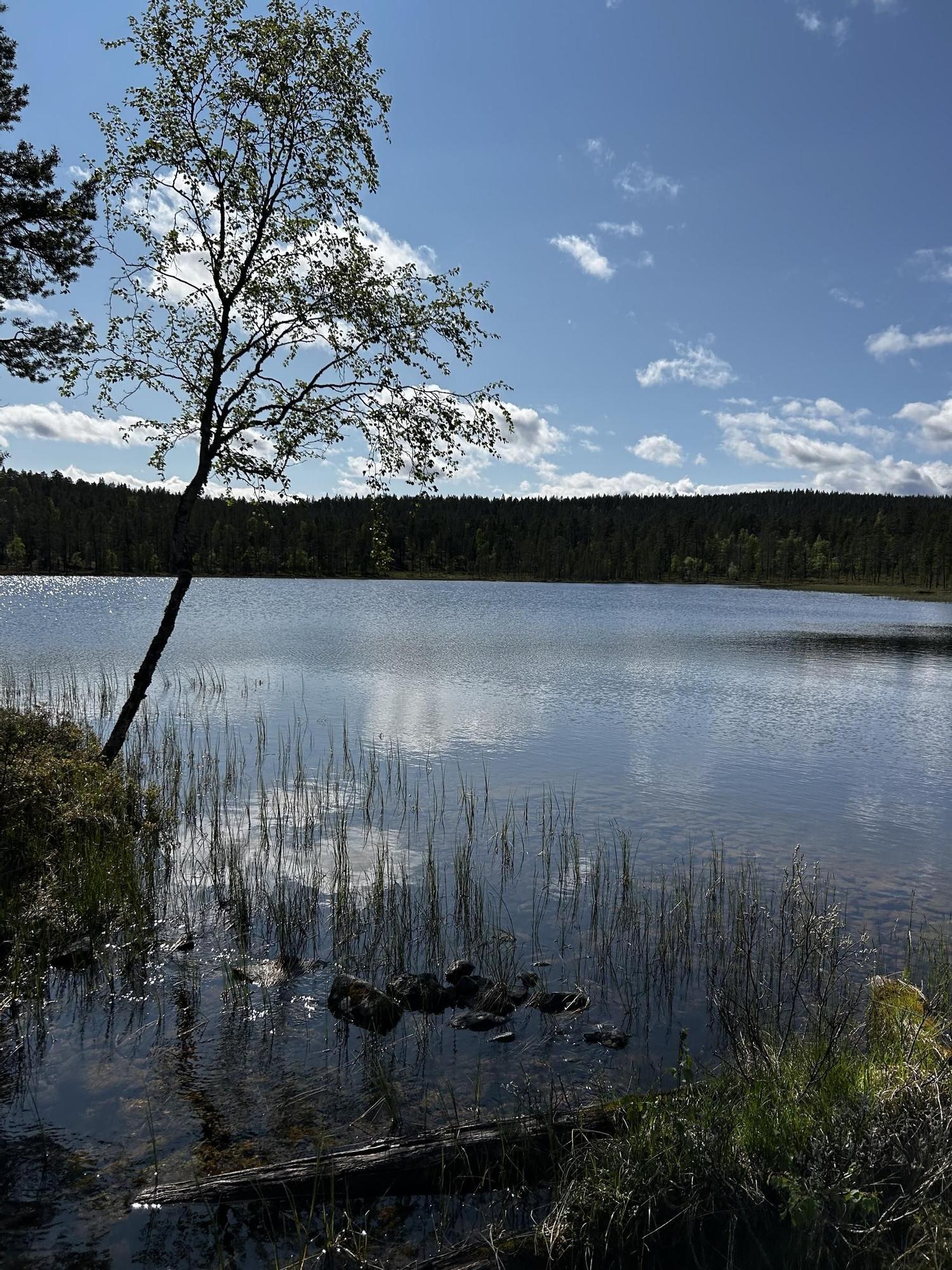La calma absoluta se encuentra en Finlandia