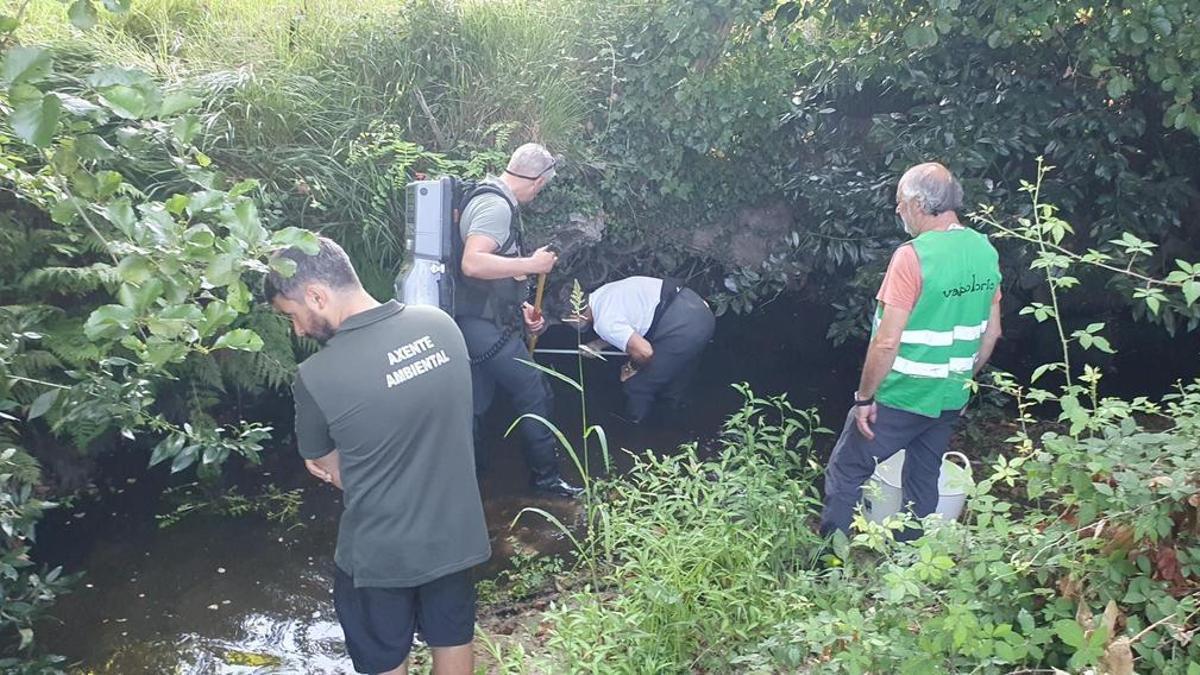 Técnicos de Medio Ambiente trabajando este martes en el río Gafos.