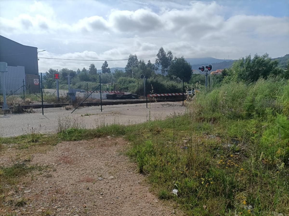 Accesos cerrados al paseo fluvial.