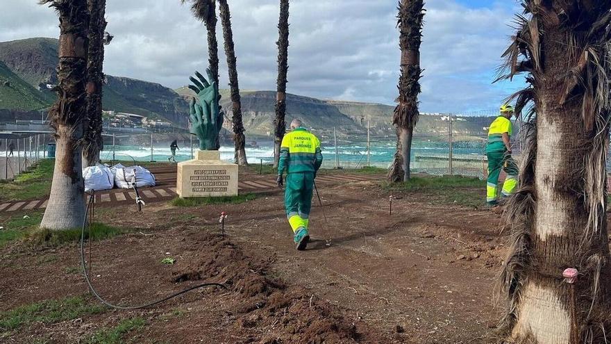 Las Palmas de Gran Canaria renueva la zona verde de los alrededores del Auditorio Alfredo Kraus