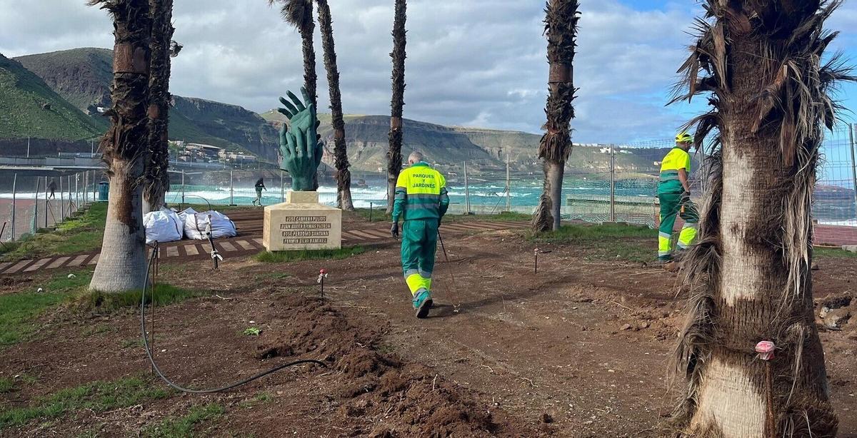 Trabajadores del área de Parques y Jardines renuevan la zona de los alrededores del Auditorio Alfredo Kraus.