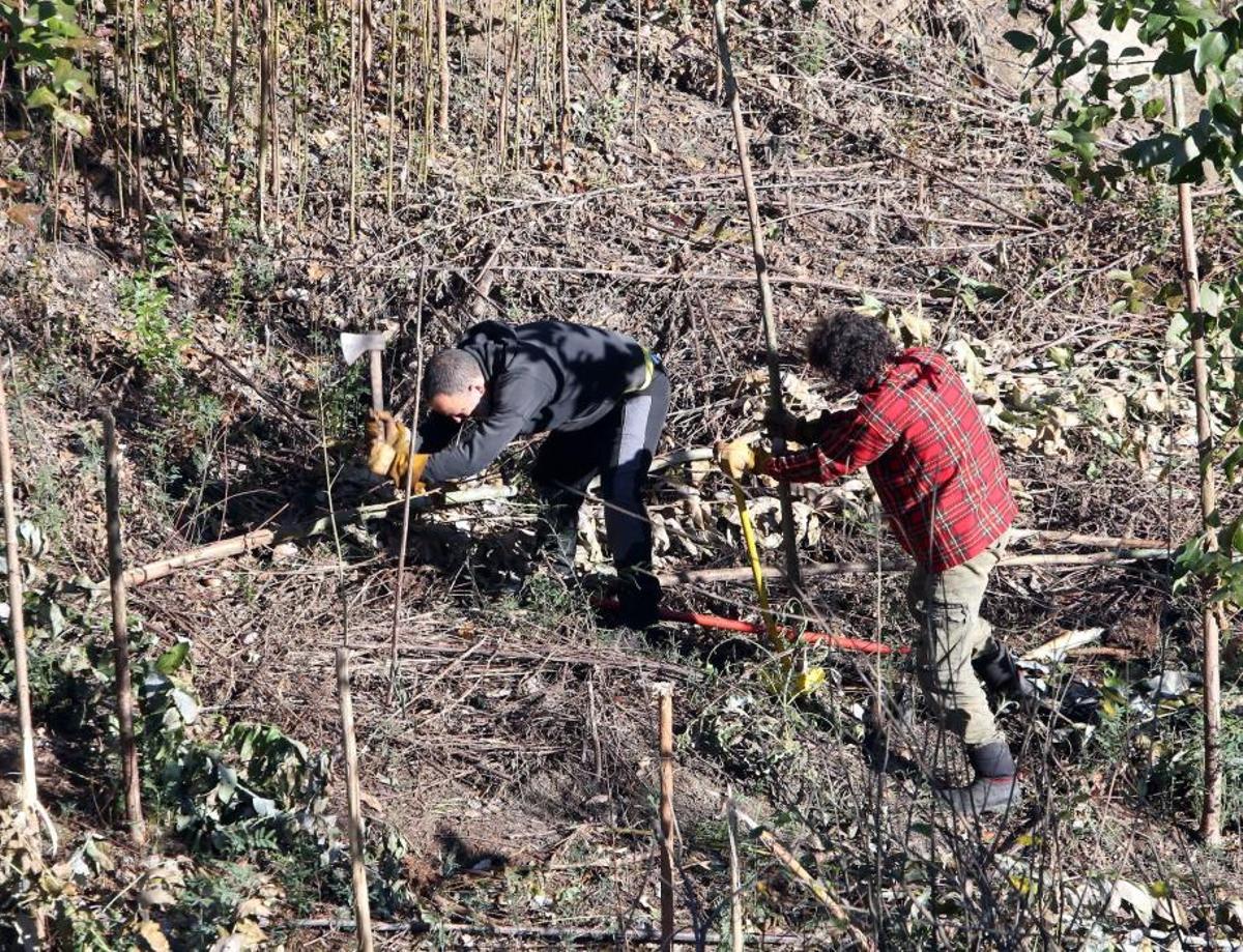 La Comunidad de Montes de Coruxo, que, en colaboración con las brigadas deseucaliptizadoras de Verdegaia, organizaron una jornada de voluntariado para liberar de eucaliptos el regato de O Pontón. La Comunidad de Montes de Coruxo, que, en colaboración con las brigadas deseucaliptizadoras de Verdegaia, organizaron una jornada de voluntariado para liberar de eucaliptos el regato de O Pontón.