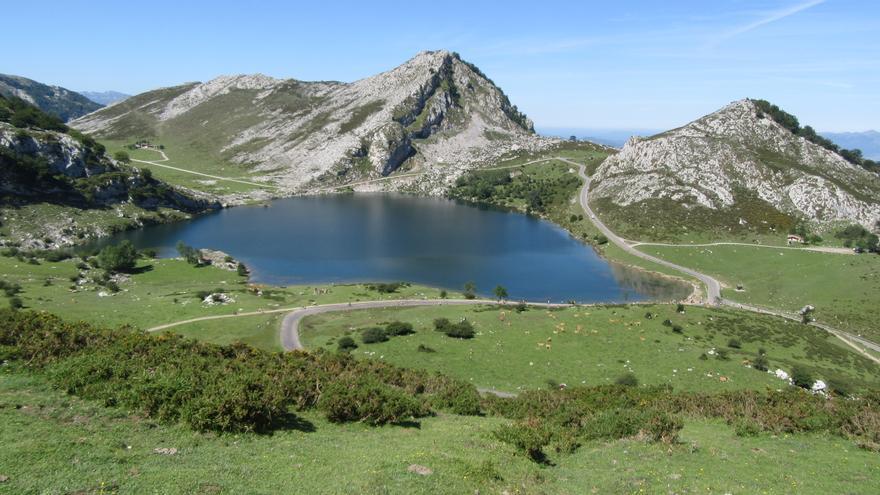 La ruta circular a los Lagos de Covadonga, un tesoro natural enclavado en el corazón de los Picos de Europa