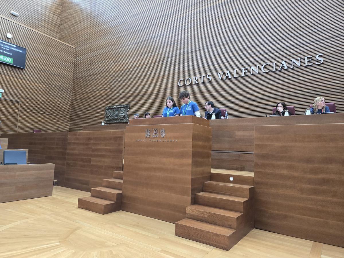 Dos de los estudiantes del instituto de Elche en una de las fases previas de la iniciativa