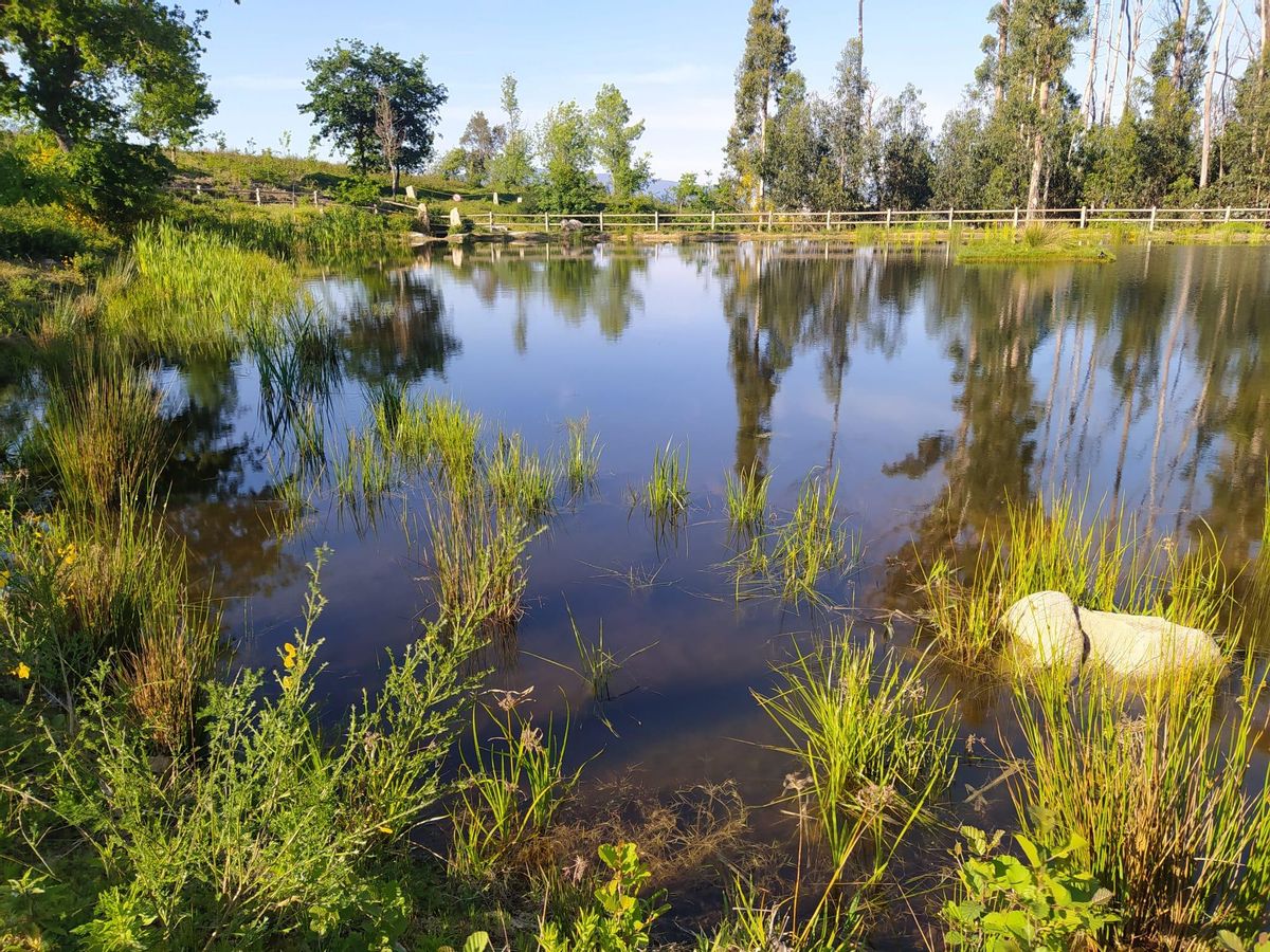 La laguna de O Maruxento.