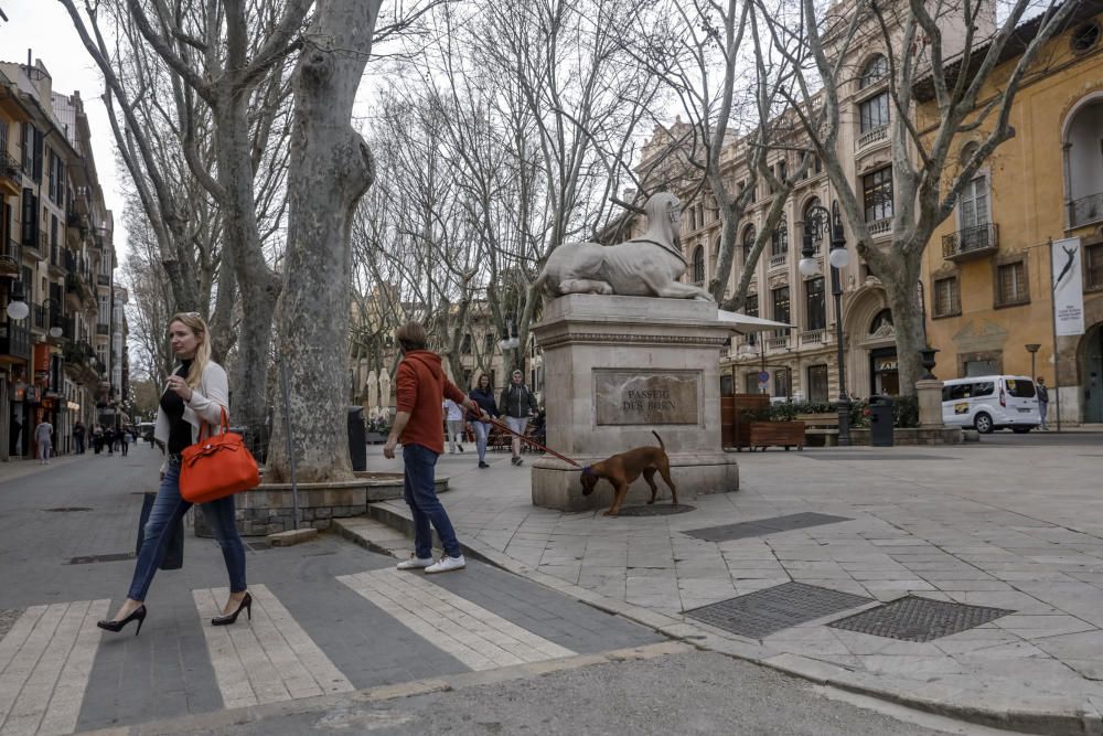 Los comercios de Es Born pagan alquileres de hasta 200 euros por metro cuadrado