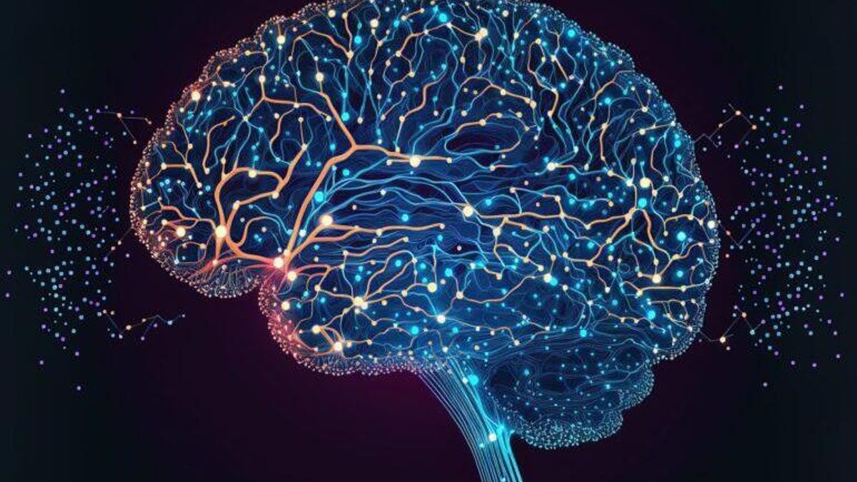 Archivo - Imagen de recurso de un cerebro.