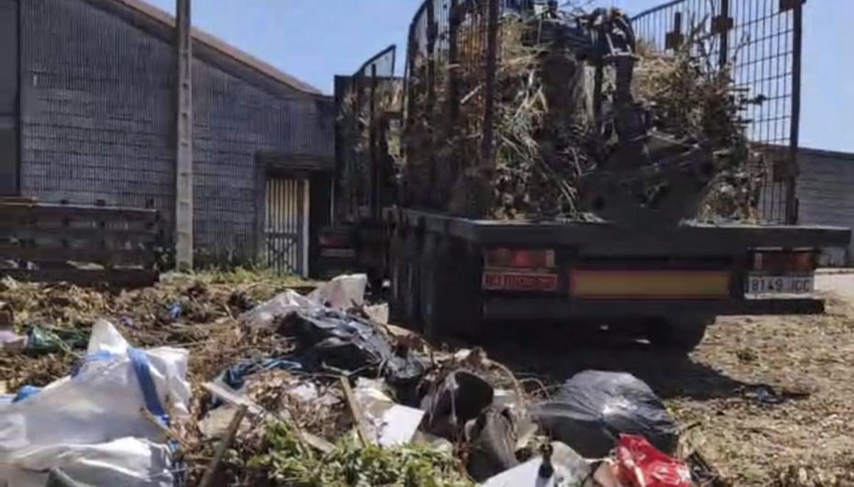 Retirada de restos vegetales, con los residuos en primer plano. | FDV