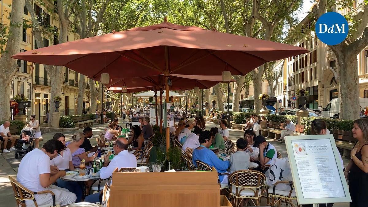 VÍDEO | El Paseo del Borne de Palma incorpora su cuarta terraza, la del Casal Solleric