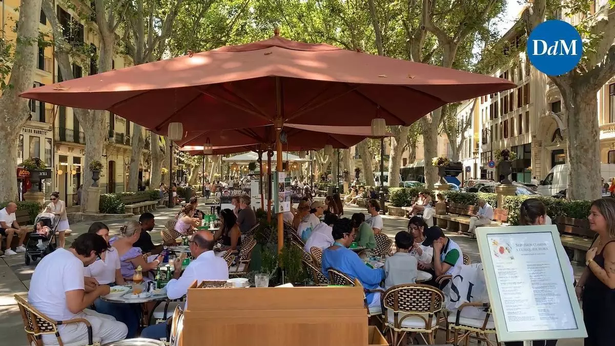 El Paseo del Born de Palma suma una cuarta terraza y alcanza su ocupación máxima permitida en la vía pública